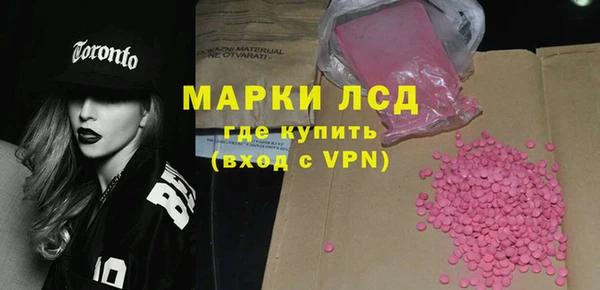 индика Няндома