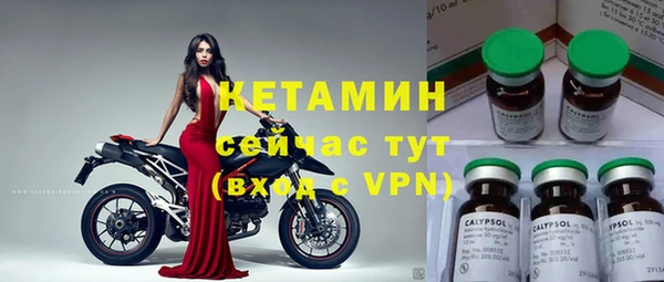 индика Няндома