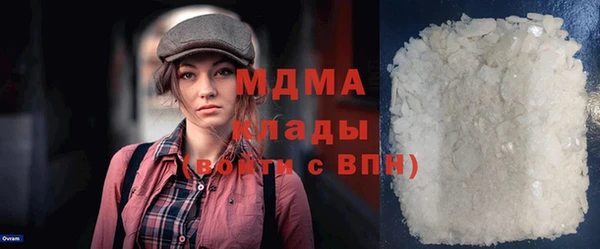 индика Няндома