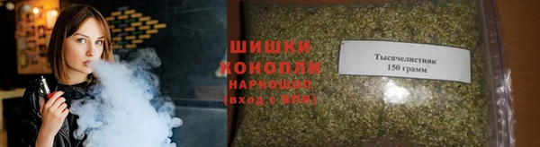 индика Няндома