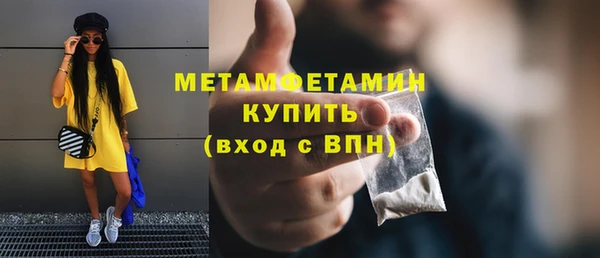 индика Няндома