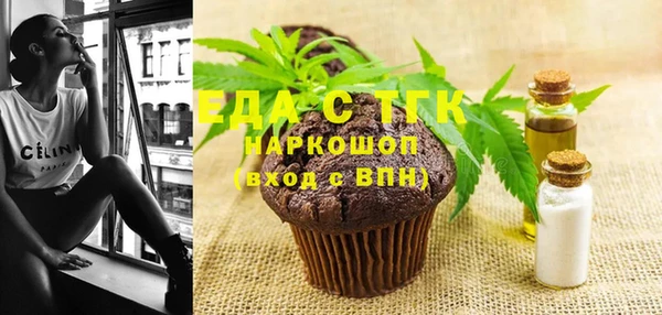 индика Няндома