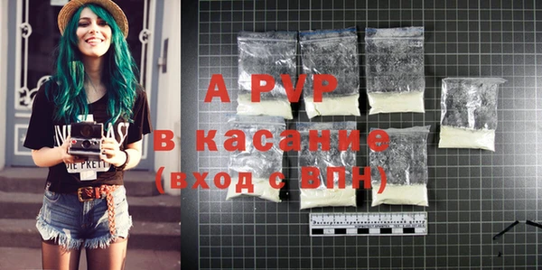 индика Няндома