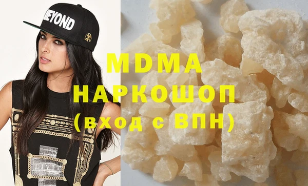 индика Няндома