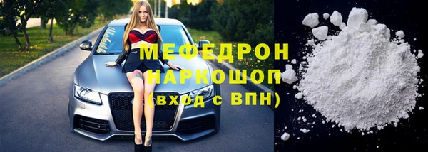 индика Няндома