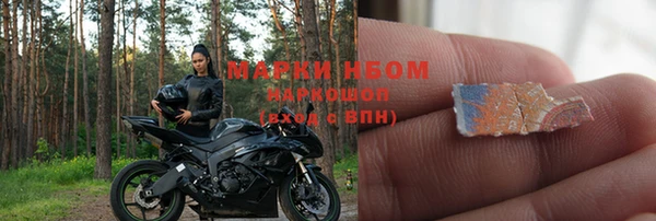 индика Няндома