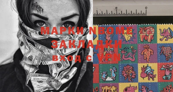 индика Няндома