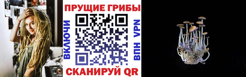 Галлюциногенные грибы ЛСД  omg ссылки  Артёмовск 